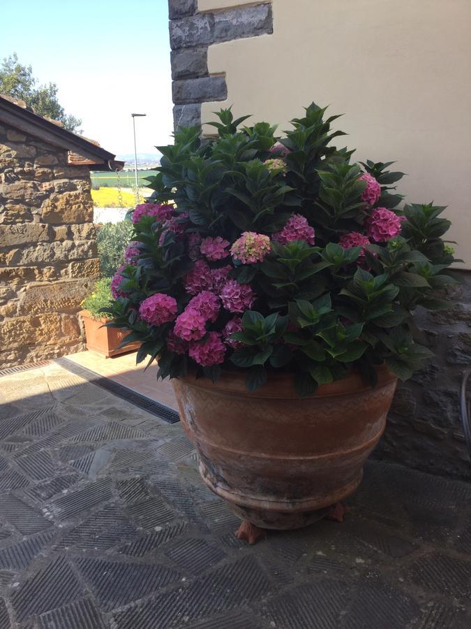 Borgo Tra Gli Olivi * Castiglion Fiorentino
